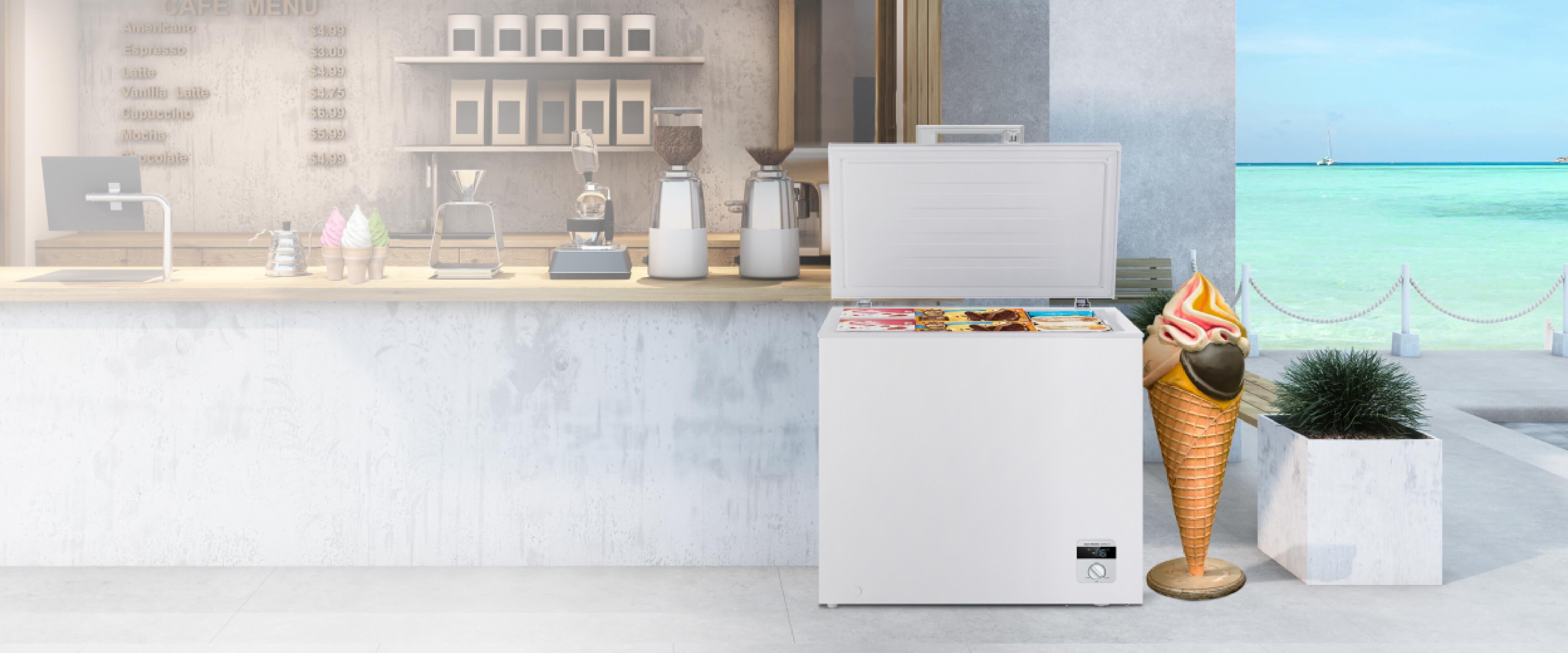 198l Chest Freezer