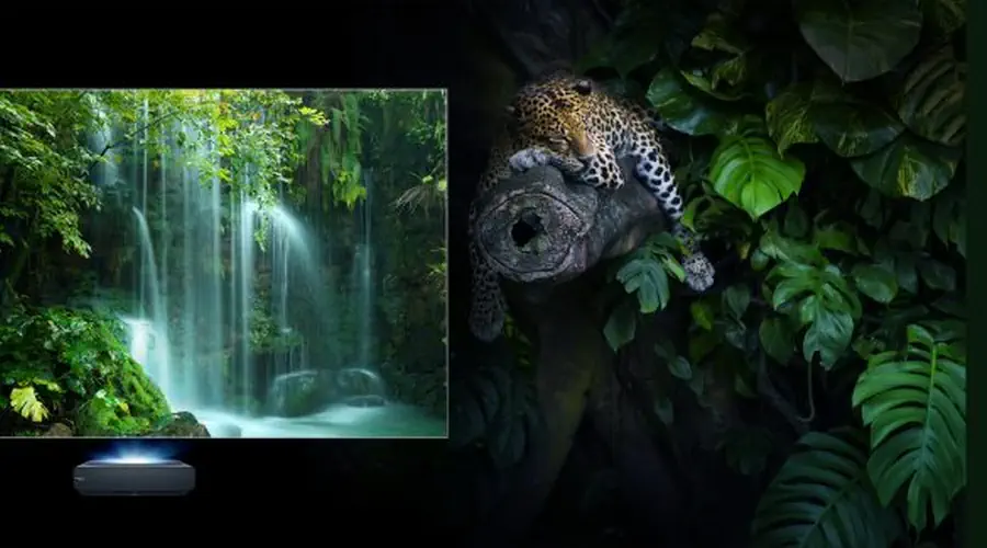 Gallery.blog.2-900x500.webp Gallery.blog.2-900x500.webp