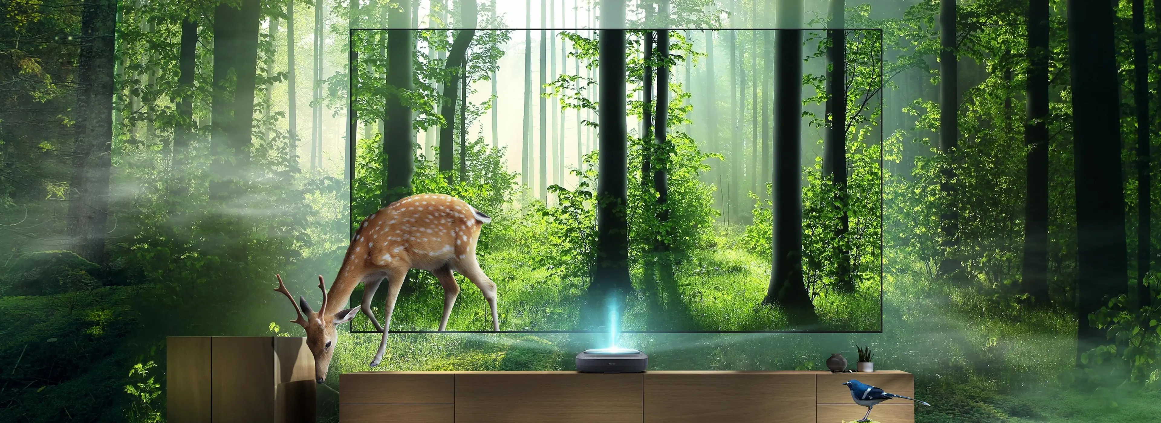 Laser-TV-2023-LP-banner-desktop-3840x1400.webp Laser-TV-2023-LP-banner-desktop-3840x1400.webp